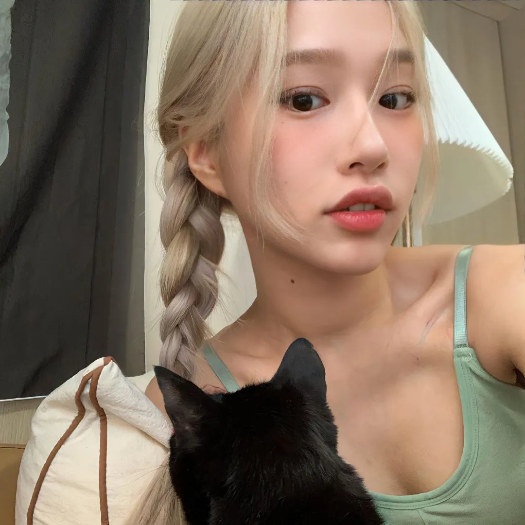 功夫熊猫