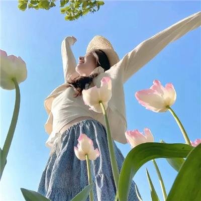 使君有妇